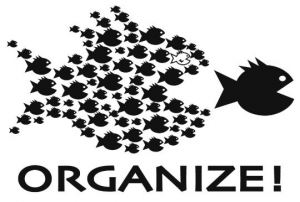 Organize Fish
